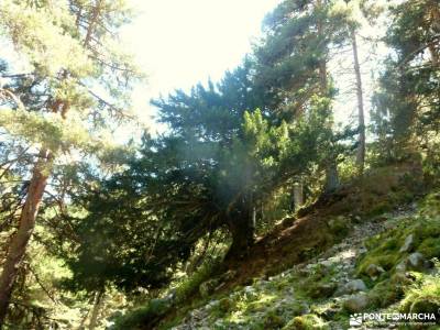 senderismo cabo de gata piraguas duraton cultura viajes el yelmo la pedriza rutas por el escorial